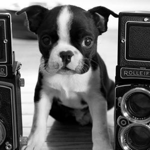 Meet your Posher, Michael